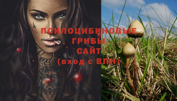гидропоника Заводоуковск