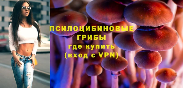 дживик Заволжье