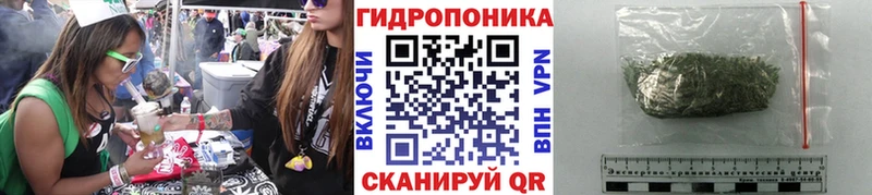купить наркотик  Электрогорск  Конопля SATIVA & INDICA 